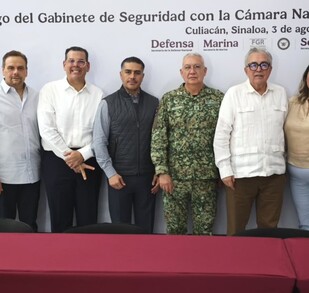 Decomisan más de 9 toneladas de droga y detienen a 65 personas en Sinaloa tras operativos federales