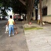 Multa por no barrer banqueta en Guadalajara: ¿Es legal?