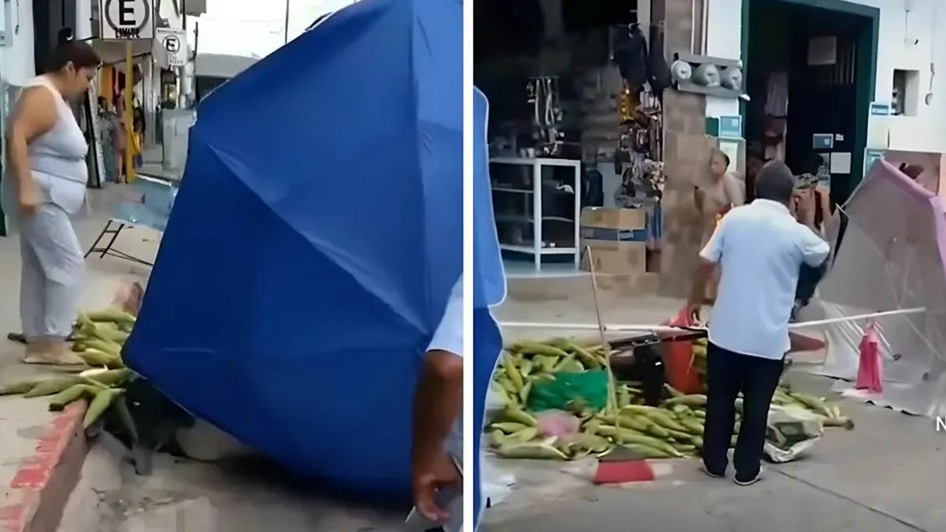 Los hechos se dieron en el municipio de Misantla, en Veracruz.