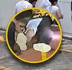 Durante el hecho, un reportero fue agredido por padres de familia al intentar grabar un video en vivo desde la escuela.