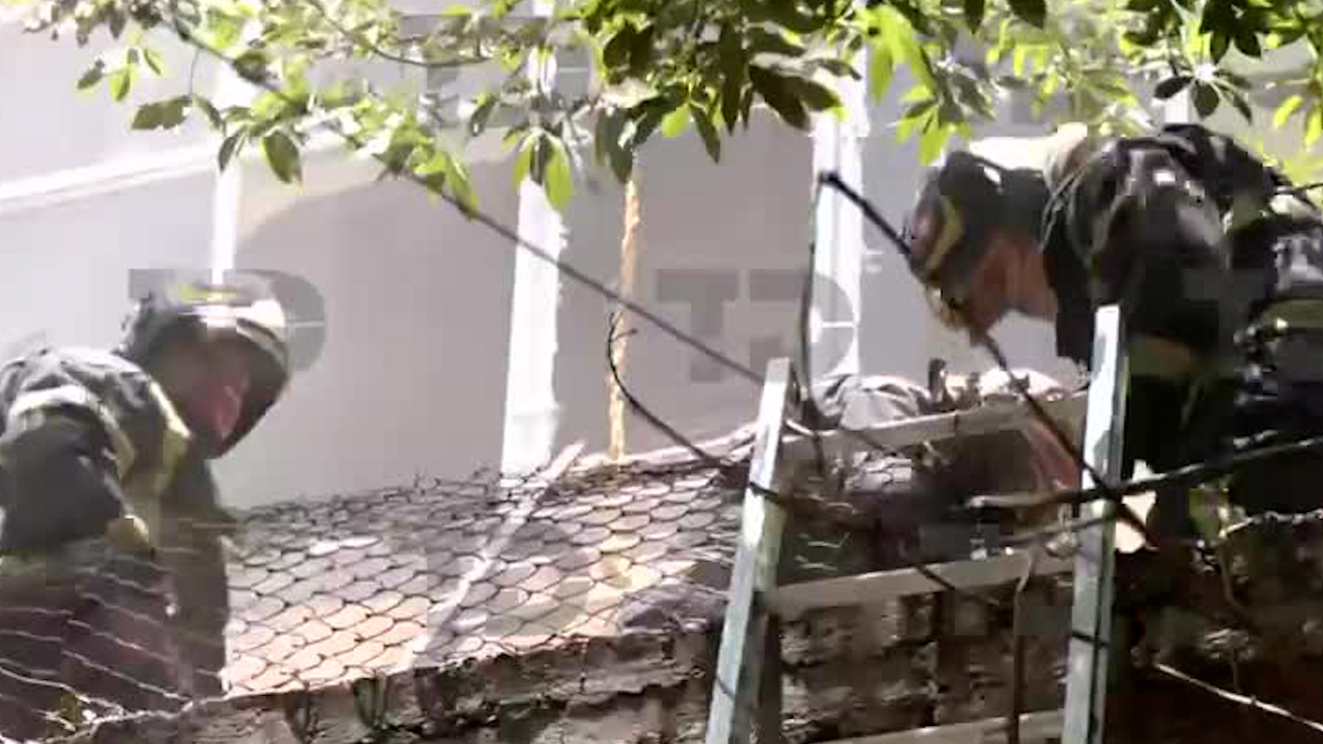 La zona centro de la CdMx pudo percibir una fuerte movilización hacia un punto donde se percibía una fuerte capa de humo negro.