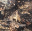 “Las manitas” es como han denominado a este sitio ubicado en Coapan, Tehuacán, donde se observa la impresión de manos humanas en una cueva.