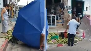 Una mujer agredió a un comerciante y su puesto de elotes, gracias a esta conducta el mundo de las redes sociales la ha llamado Lady Elotes.