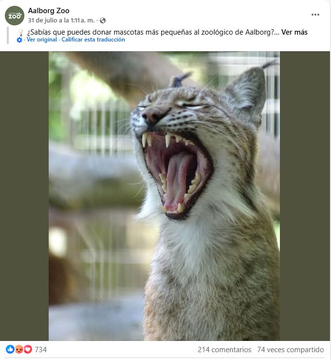 Mascotas alimento zoológico