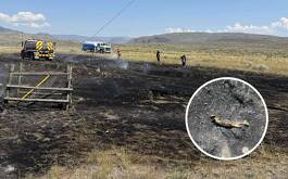 Bomberos llegaron al sitio y se sorprendieorn al ver los hechos