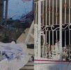 El incidente ocurrió poco después de las 8:00 pm, provocando la movilización de Protección Civil, Bomberos y cuerpos de emergencia.