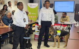 Los caninos son criollos y se encuentran listos para detectar al gusano barrenador