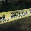 Los detenidos, que forman parte de 'Los Alfa', están relacionados con delitos de alto impacto como homicidio, secuestro, extorsión