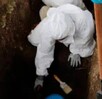 Tras esta deficiencia en fiscalías, se ha provocando que actos como la exhumación de cuerpos sean comunes a lo largo del territorio mexicano.