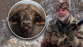 El tipo de búfalo que lo aplastó es conocido como “Muerte Negra”, responsable por al menos 200 muertes humanas al año en África.