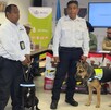 Los caninos son criollos y se encuentran listos para detectar al gusano barrenador
