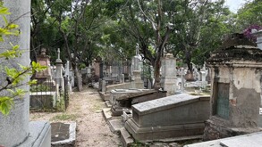 Estos cuerpos fueron recuperados antes de que en la Fiscalía General del Estado creara la Unidad de Identificación Forense.