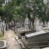 Estos cuerpos fueron recuperados antes de que en la Fiscalía General del Estado creara la Unidad de Identificación Forense.