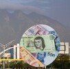 Apoyos económicos en Nuevo León Apoyos económicos en Nuevo León