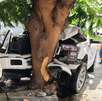Dos jóvenes resultaron lesionados luego de chocar a bordo de una camioneta contra un árbol en la colonia Valle de las Mitras en Monterrey.
