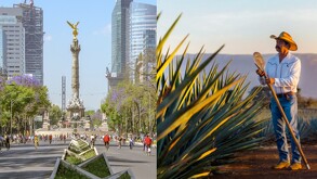 Descubre aquí cuánto cuesta realmente viajar de la Ciudad de México a Tequila y qué opción de transporte conviene más según tu presupuesto y tiempo.