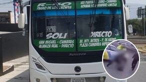 El video fue captado por una persona en el cual se puede ver cómo inició la agresión