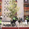 Remodelación de Condominios Constitución Remodelación de Condominios Constitución
