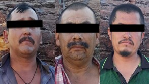Vinculados por talar árboles en Nuevo León
