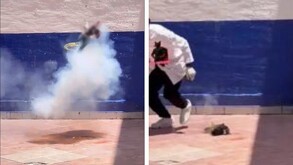 Un grupo de estudiantes de Criminología del municipio de Pénjamo, Guanajuato, ataron explosivos al cuerpo de un gatito y lo hicieron estallar.