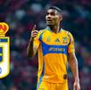 Veljko Paunovic, exentrenador de Tigres quiere llevarse al brasileño Joaquim Pereira.