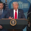 Donald Trump Violencia Donald Trump Violencia