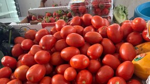 México fija precios mínimos de exportación para tomate fresco