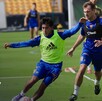 Tigres recibirá al América en la próxima jornada de Liga MX. Tigres recibirá al América en la próxima jornada de Liga MX.