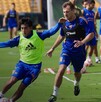 Tigres recibirá al América en la próxima jornada de Liga MX. Tigres recibirá al América en la próxima jornada de Liga MX.