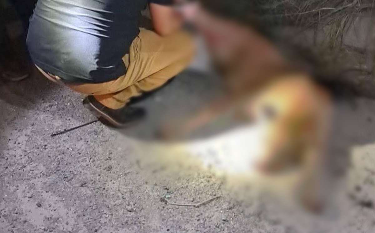Un puma murió luego de ser atropellado sobre la Carretera Nacional, en el municipio de Allende, Nuevo León, informaron autoridades estatales.