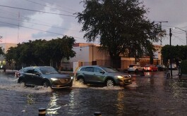 Lluvia en Guadalajara 12 de agosto 2025 EN-VIVO | Noticias