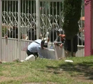 Una mujer identificada como trabajadora del gobierno municipal de Tecámac fue asesinada a balazos dentro de un panteón en la comunidad de Ampliación Ozumbilla.