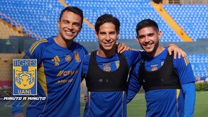 Entérate de las últimas noticias de Tigres HOY 14 de agosto.