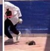 Un grupo de estudiantes de Criminología del municipio de Pénjamo, Guanajuato, ataron explosivos al cuerpo de un gatito y lo hicieron estallar.