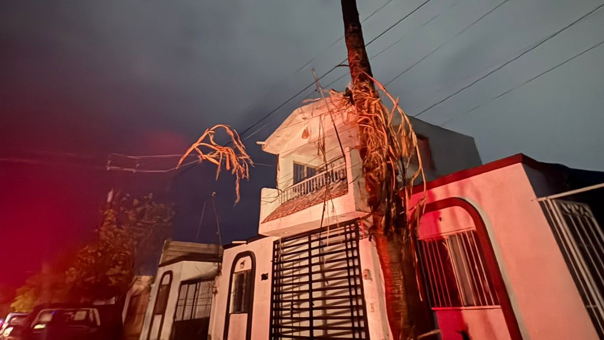Los hechos ocurrieron poco antes de las once de la noche sobre la calle De los Peltres, donde vecinos reportaron que un rayo impactó directamente en la palma