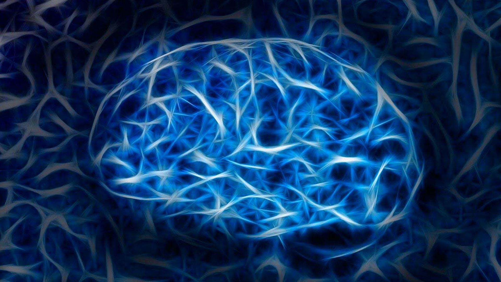 El Alzheimer comienza con la acumulación de proteínas dañinas para el cerebro, provocando la muerte de las neuronas y el encogimiento del cerebro.