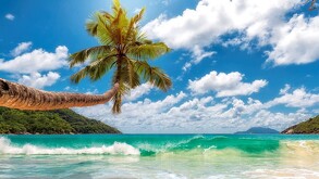 Destinos como Nuevo Vallarta, Huatulco, Cancún, Costa Mujeres y Mazatlán ofrecen playas tranquilas, hoteles cómodos