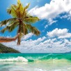 Destinos como Nuevo Vallarta, Huatulco, Cancún, Costa Mujeres y Mazatlán ofrecen playas tranquilas, hoteles cómodos