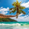 Destinos como Nuevo Vallarta, Huatulco, Cancún, Costa Mujeres y Mazatlán ofrecen playas tranquilas, hoteles cómodos