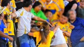 Pelea de aficionados de Tigres en Estadio Universitario