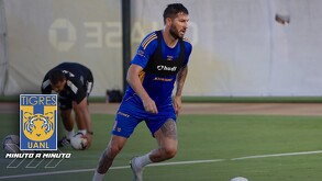 Entérate de las ultimas noticias de Tigres
