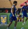 Entérate de las últimas noticias de Tigres HOY 18 de agosto. Entérate de las últimas noticias de Tigres HOY 18 de agosto.