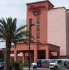 Médicos pidieron investigar si algún químico o veneno pudo haberse impregnado en la discada que consumieron los empleados de hoteles en Saltillo.