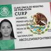 La CURP con datos biométricos es ya obligatoria en México. Conoce quiénes deben tramitarla primero, los trámites que la exigirán y dónde se saca.