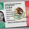 La CURP con datos biométricos es ya obligatoria en México. Conoce quiénes deben tramitarla primero, los trámites que la exigirán y dónde se saca.
