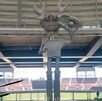 Los aficionados de los Diablos Rojos del México han adoptado este gesto para 