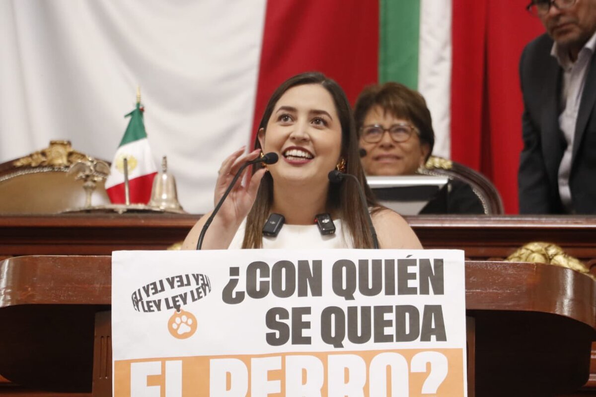 La legisladora argumentó que la familia no es una estructura rígida, sino un espacio de amor, cuidado y compañía