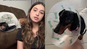 Veterinaria entrega a perrita con quemaduras tras esterilización en Monterrey