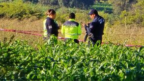 Hallan 5 cabezas humanas desolladas y un narcomensaje en Ixtacuixtla, Tlaxcala. Autoridades presumen un ajuste de cuentas del crimen organizado.