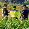 Hallan 5 cabezas humanas desolladas y un narcomensaje en Ixtacuixtla, Tlaxcala. Autoridades presumen un ajuste de cuentas del crimen organizado.